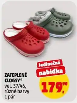 Penny Market Zateplené clogsy nabídka
