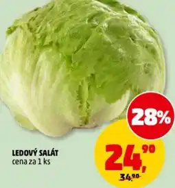 Penny Market Ledový salát nabídka