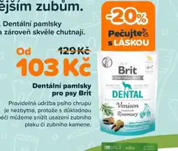 Pet Center Dentální pamlsky pro psy Brit nabídka