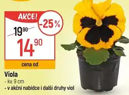 Globus Viola nabídka