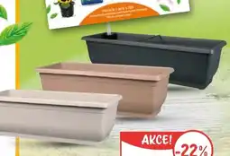 Globus Samozavlažovací truhlíky Torenie nabídka