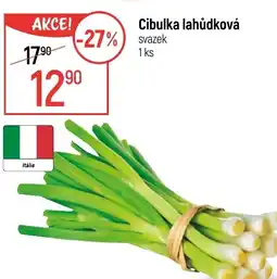 Globus Cibulka lahůdková svazek nabídka