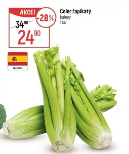 Globus Celer řapíkatý nabídka