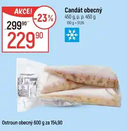 Globus Candát obecný nabídka