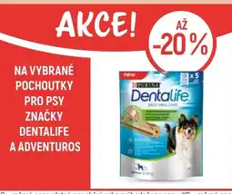 Globus Na vybrané pochoutky pro psy značky Dentalife a Adventuros nabídka