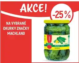 Globus Na vybrané okurky značky Machland nabídka