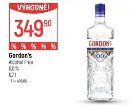 Globus GORDON'S nabídka
