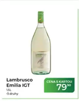 Tamda Foods Lambrusco Emilia IGT nabídka
