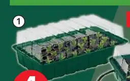 Kaufland Sada pařeništ nabídka