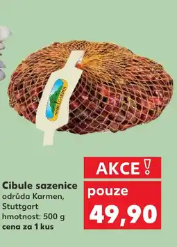 Kaufland Cibule sazenice nabídka