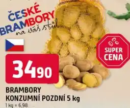 Trefa Brambory konzumní pozdní nabídka