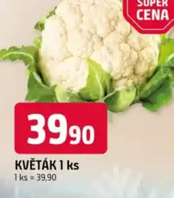 Trefa Květák 1 ks nabídka