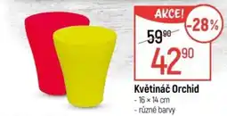Globus Květináč Orchid nabídka
