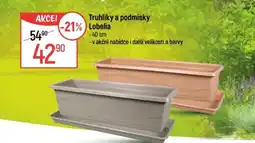 Globus Truhlíky a podmisky Lobelia nabídka