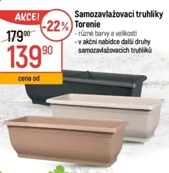 Samozavlažovací truhlíky Torenie