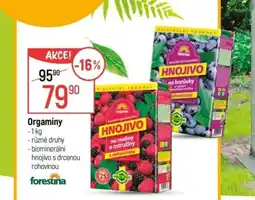 Globus Orgaminy nabídka