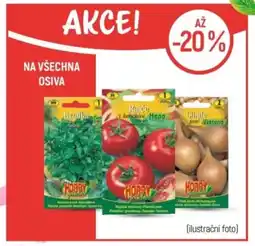 Globus Na všechna osiva nabídka