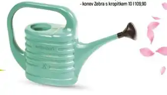 Zahradní konve zebra