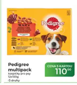 Tamda Foods Pedigree multipack kaspičky pro psy nabídka