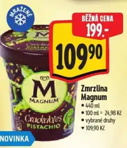 Albert Zmrzlina Magnum nabídka