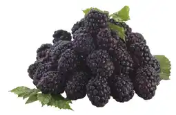 Billa Ostružiny 125g nabídka