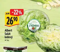 Albert Albert Salát ledový 1ks nabídka