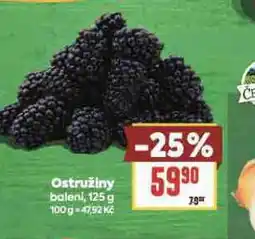 Billa Ostružiny nabídka