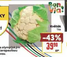 Billa Květák nabídka