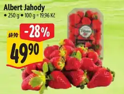 Albert Albert Jahody nabídka