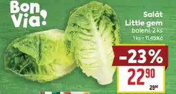 Billa Salát Little gem balení, 2 ks nabídka
