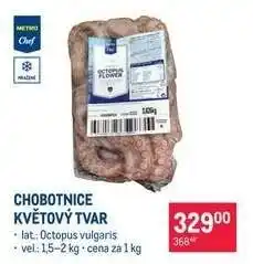 Makro Chobotnice květový tvar nabídka