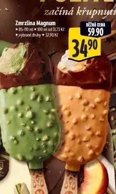 Albert Zmrzlina Magnum nabídka