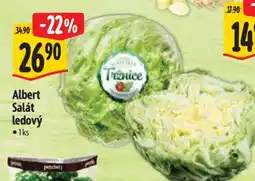 Albert Albert Salát ledový nabídka