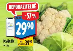 Albert Květák nabídka