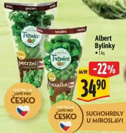 Albert Albert Bylinky nabídka