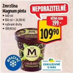 Albert Zmrzlina Magnum Pinta nabídka