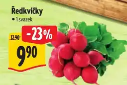 Albert Ředkvičky nabídka