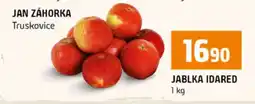 Terno Jablka Idared nabídka