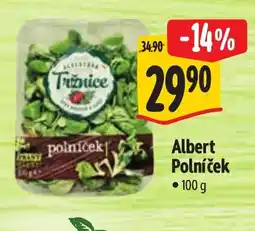 Albert Albert Polníček nabídka