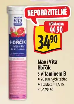 Albert Maxi Vita Hořčík s vitaminem B nabídka