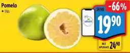 Albert Pomelo nabídka