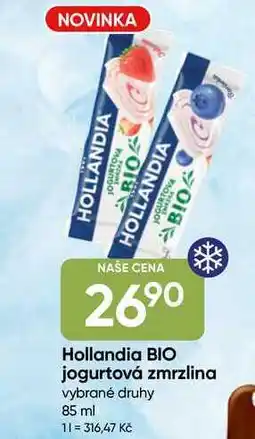 Hruška Hollandia BIO jogurtová zmrzlina vybrané druhy nabídka