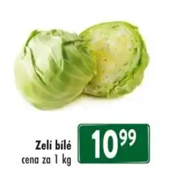 Qanto Zelí bílé nabídka