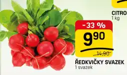 Flop Ředkvičky svazek nabídka