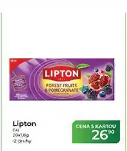 Tamda Foods Lipton čaj ovocný nabídka