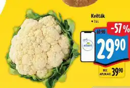 Albert Květák nabídka