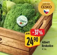 Albert Brokolice nabídka
