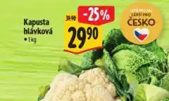 Albert Kapusta hlávková nabídka