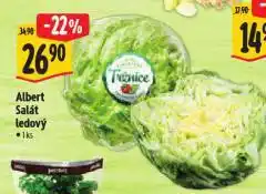 Albert Salát ledový nabídka