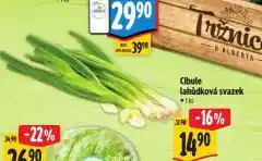 Albert Cibule lahůdková svazek nabídka